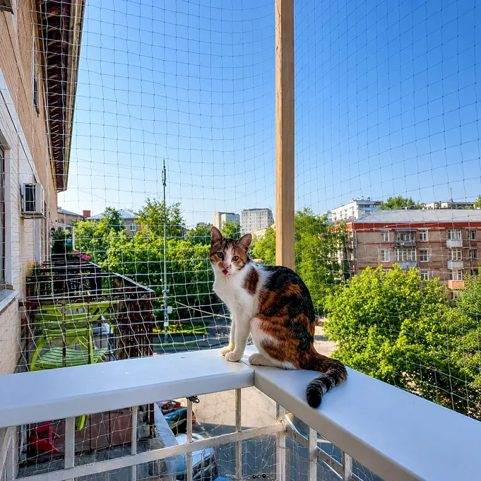 Антикошка на окне