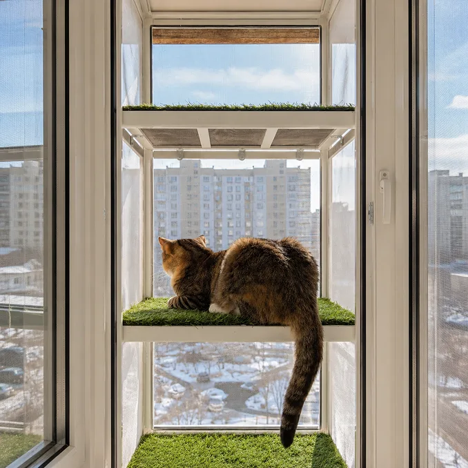 Антикошка на окне