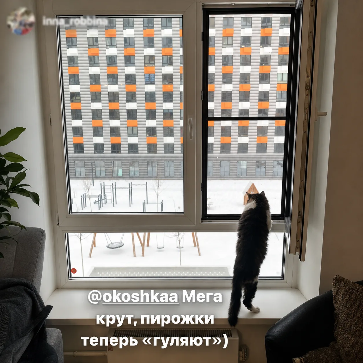 Отзыв клиента ОКОШКА