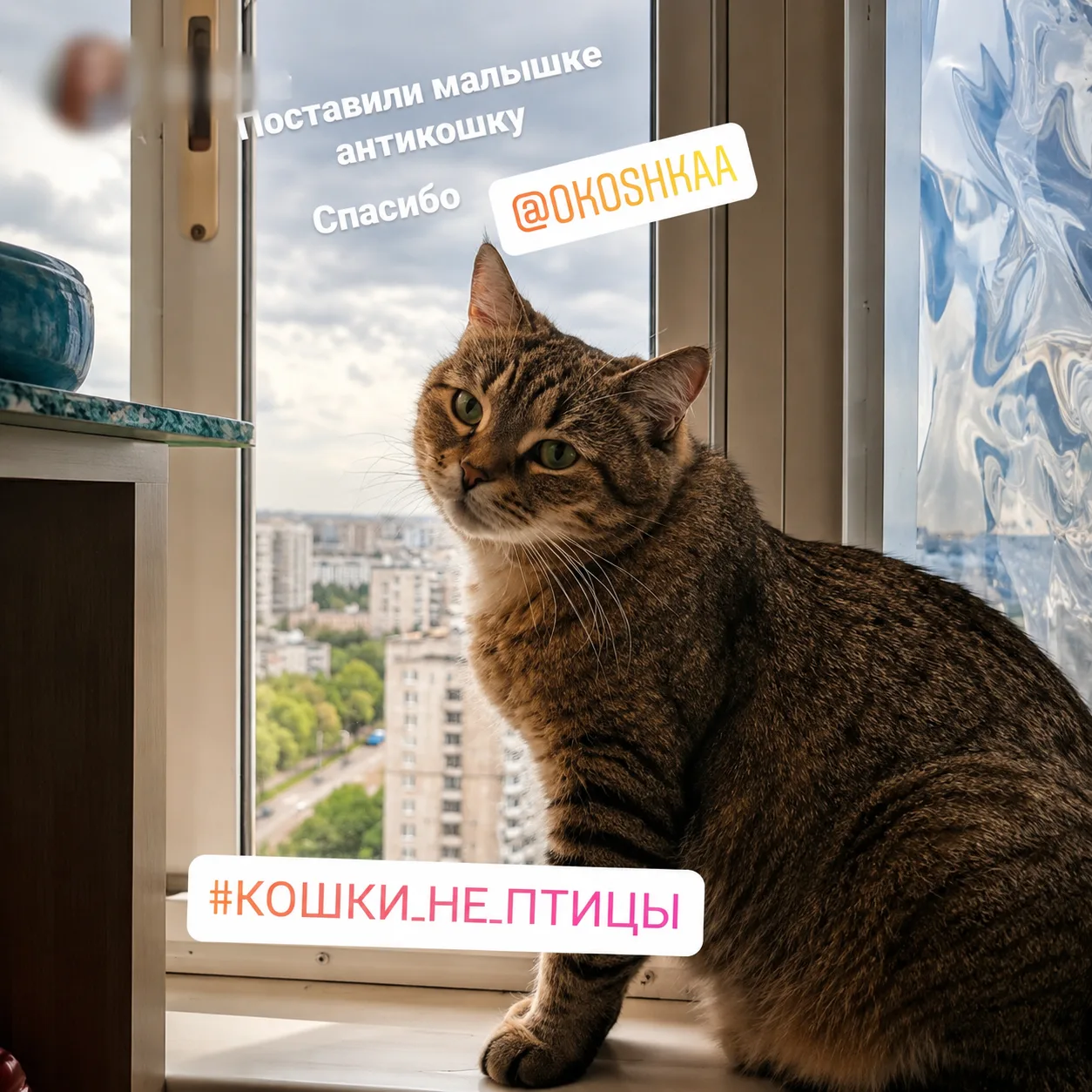Отзыв клиента ОКОШКА