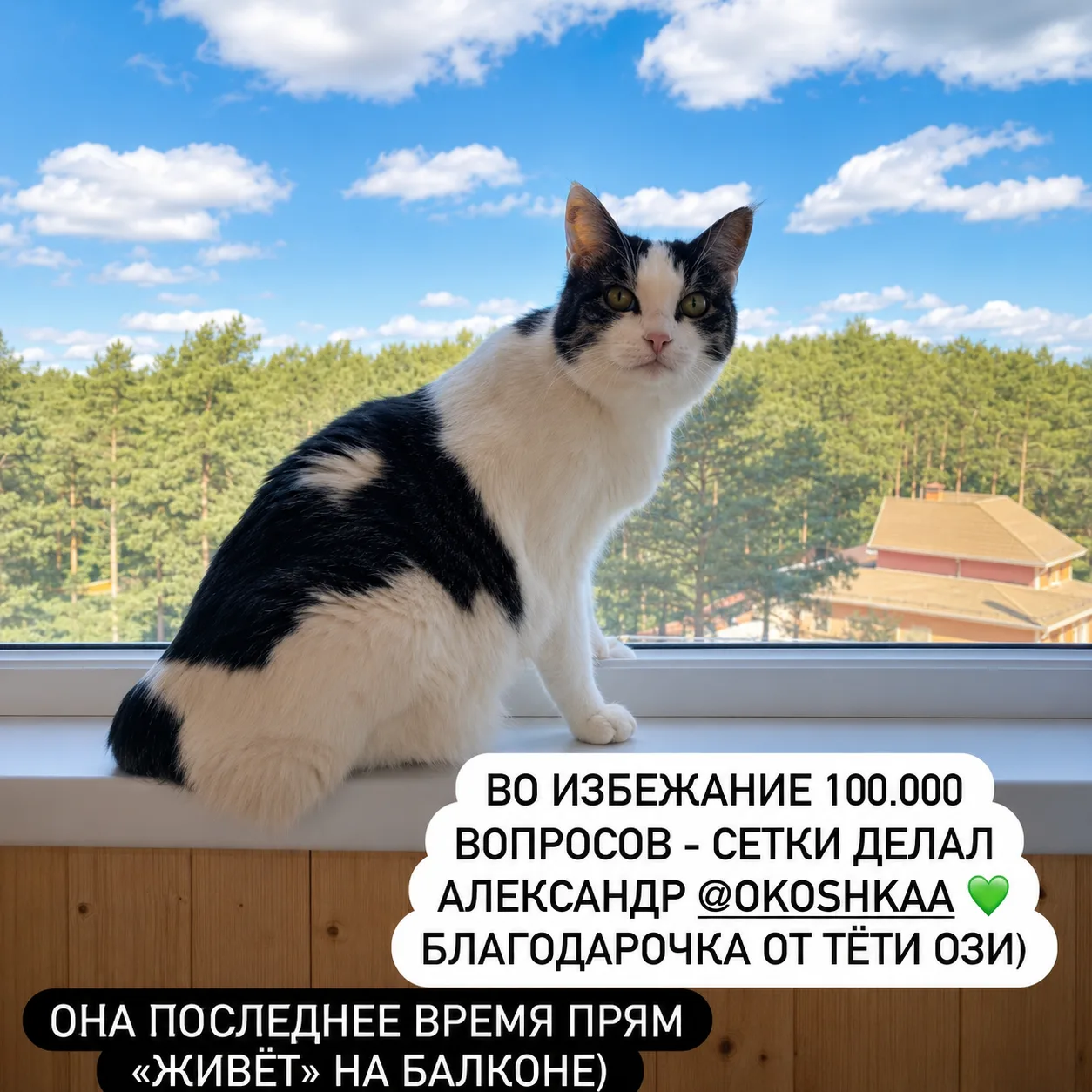 Отзыв клиента ОКОШКА