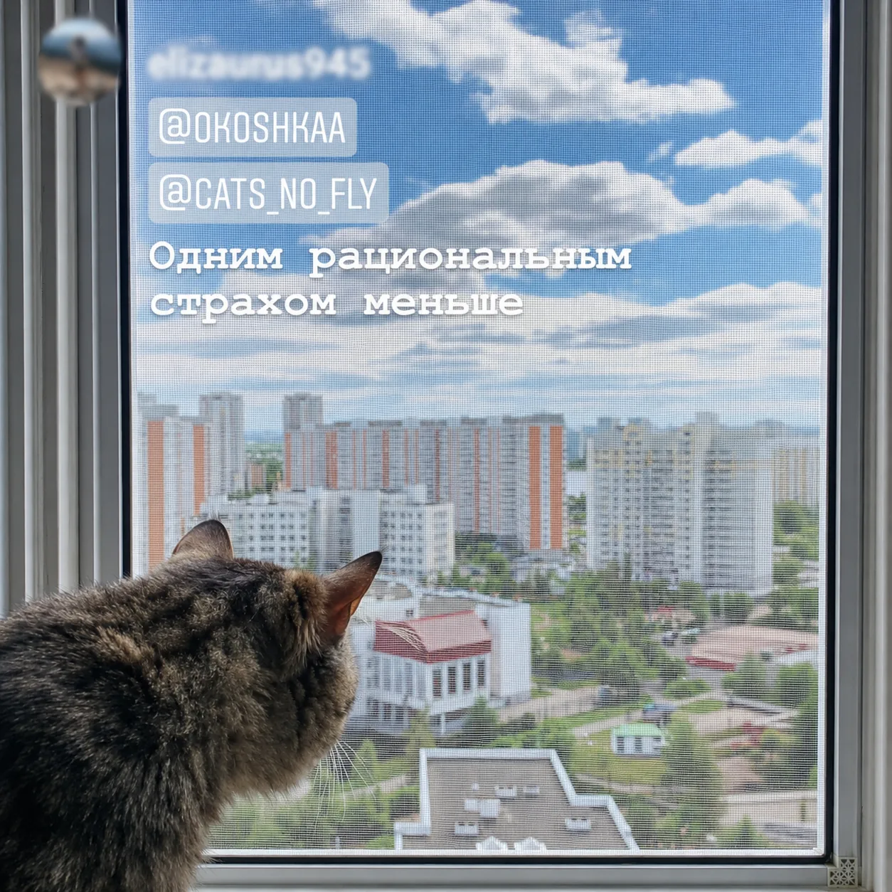 Отзыв клиента ОКОШКА