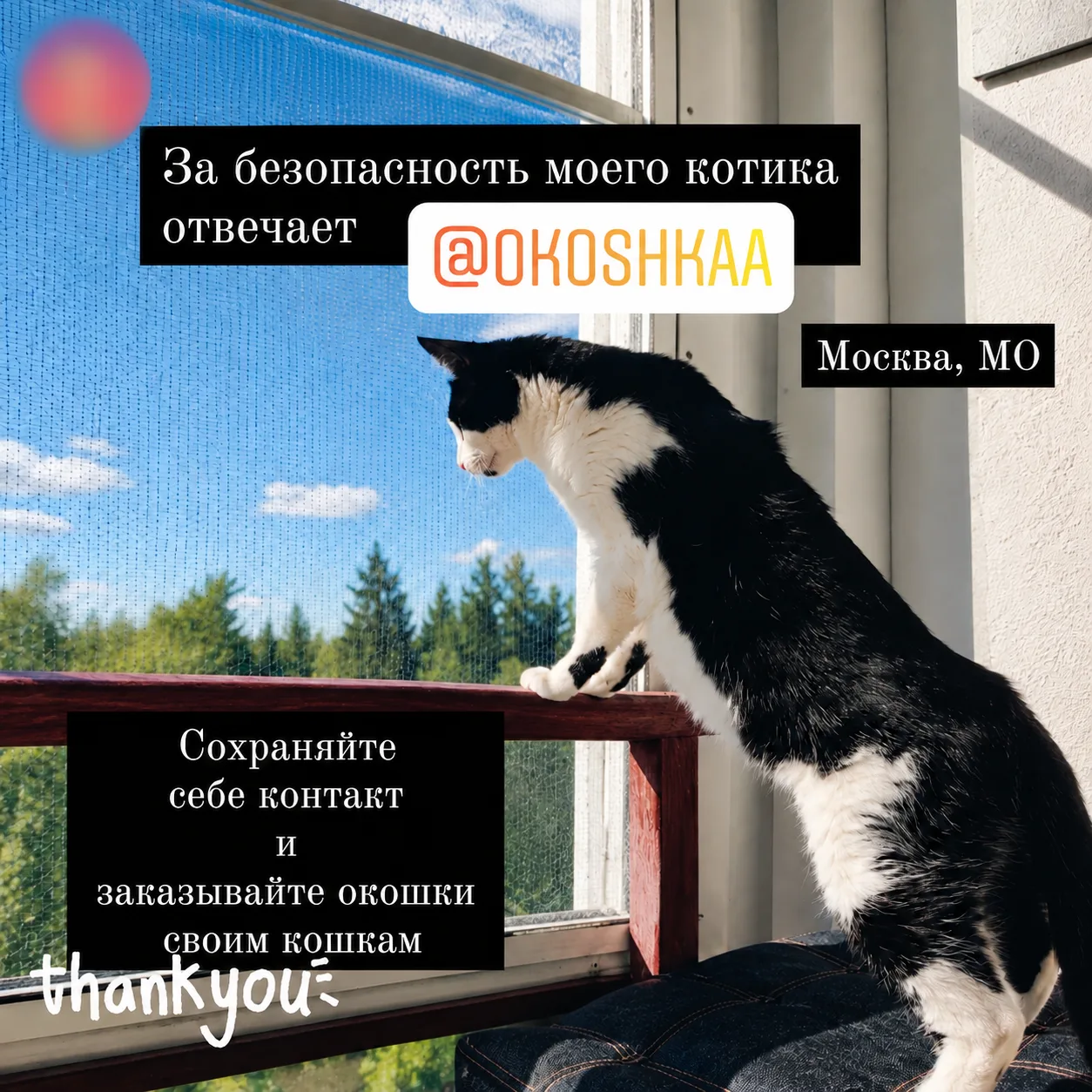 Отзыв клиента ОКОШКА