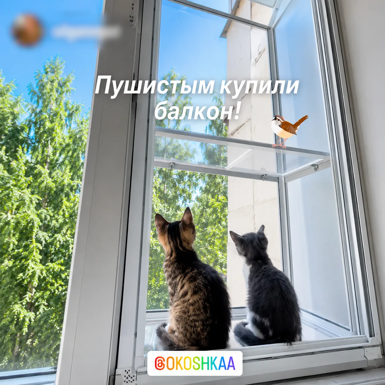 Отзыв клиента ОКОШКА