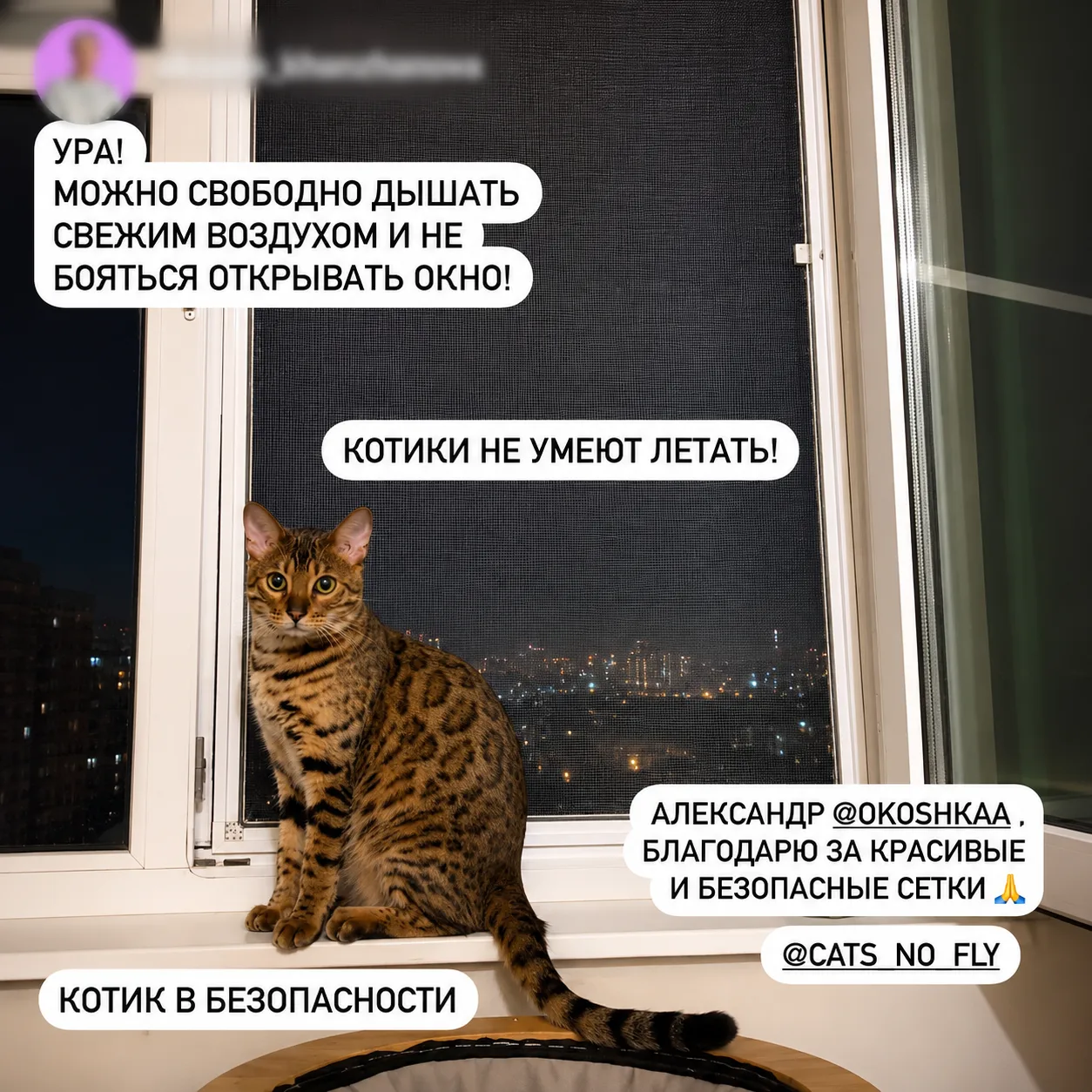 Отзыв клиента ОКОШКА