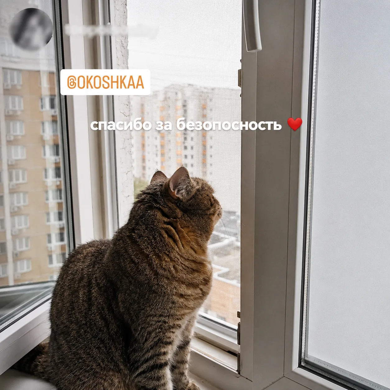 Отзыв клиента ОКОШКА