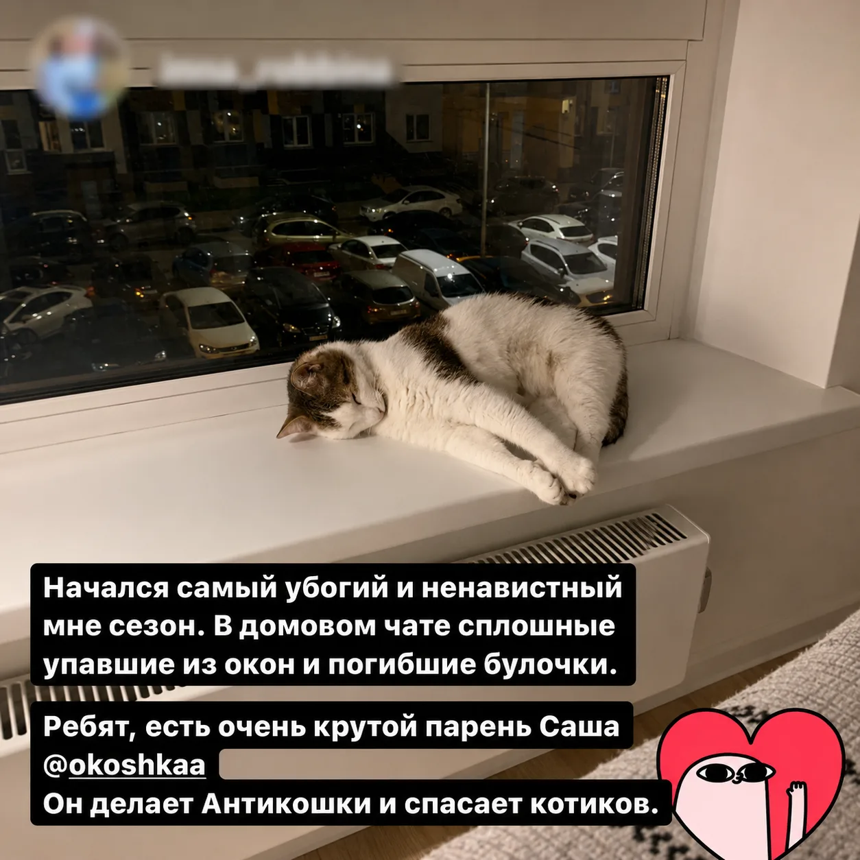 Отзыв клиента ОКОШКА