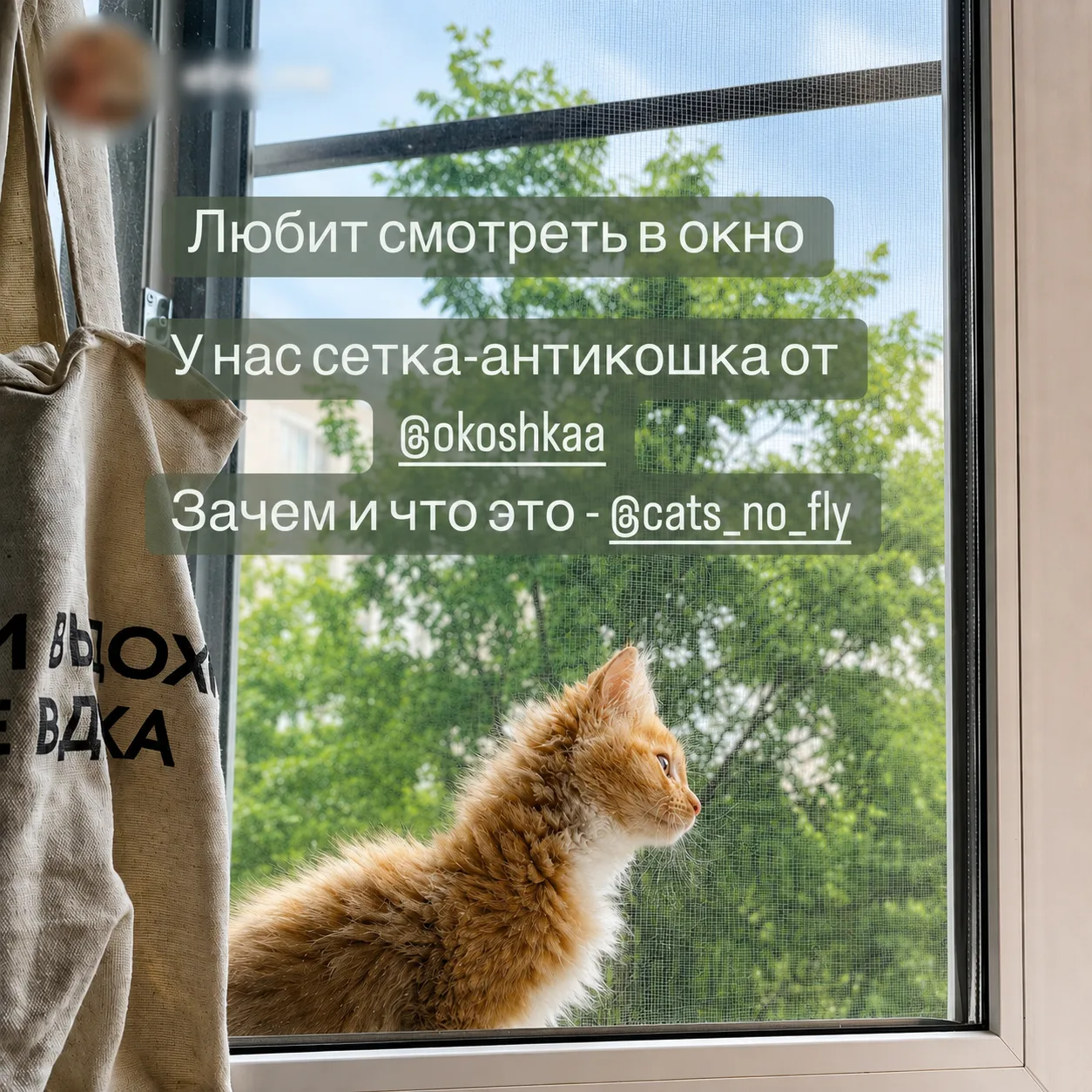 Отзыв клиента ОКОШКА