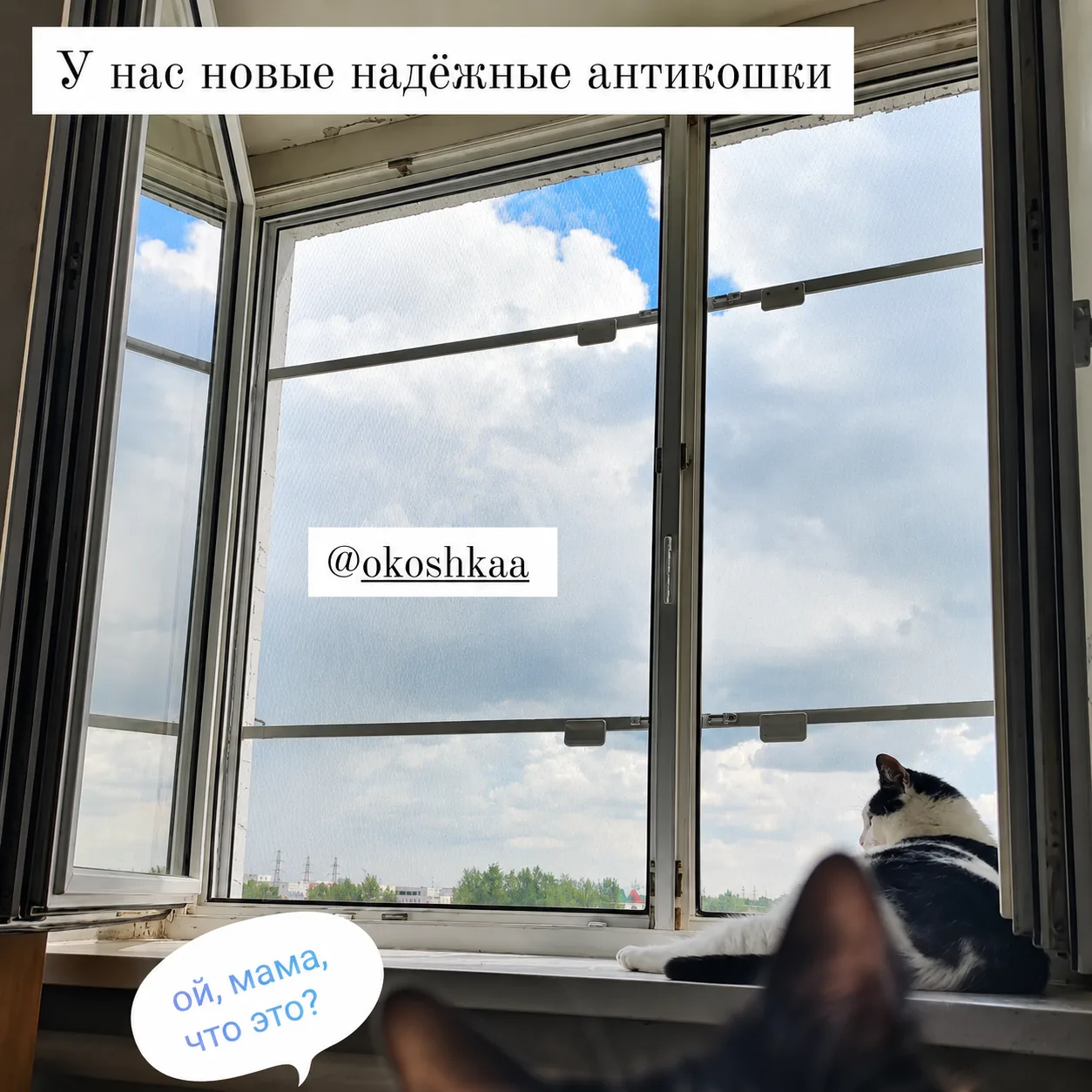 Отзыв клиента ОКОШКА