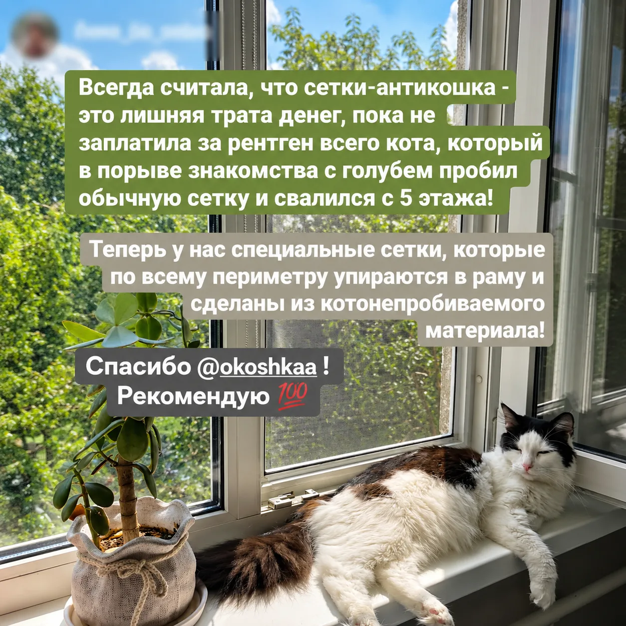 Отзыв клиента ОКОШКА