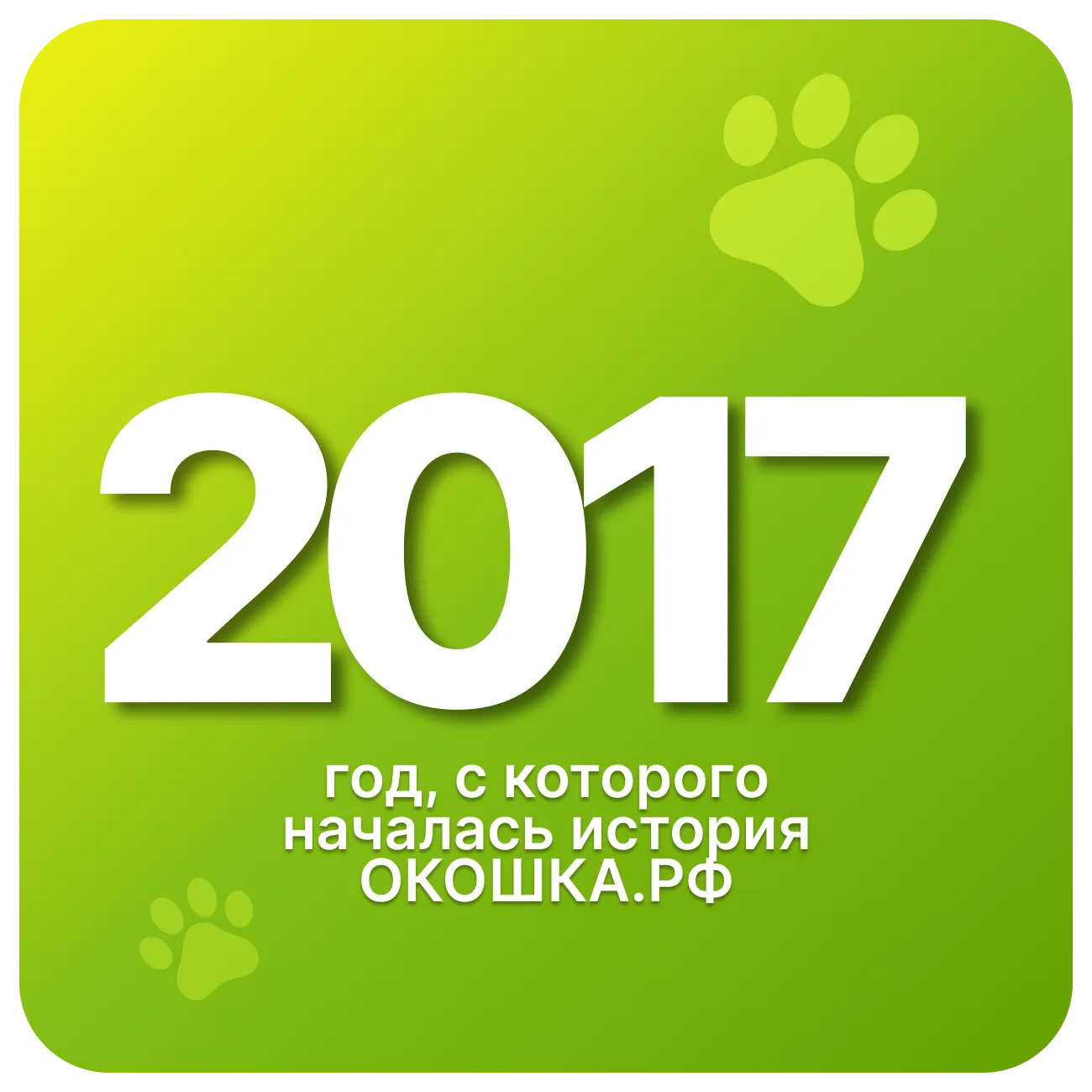 2017 — год, с&nbsp;которого началась история ОКОШКА.РФ