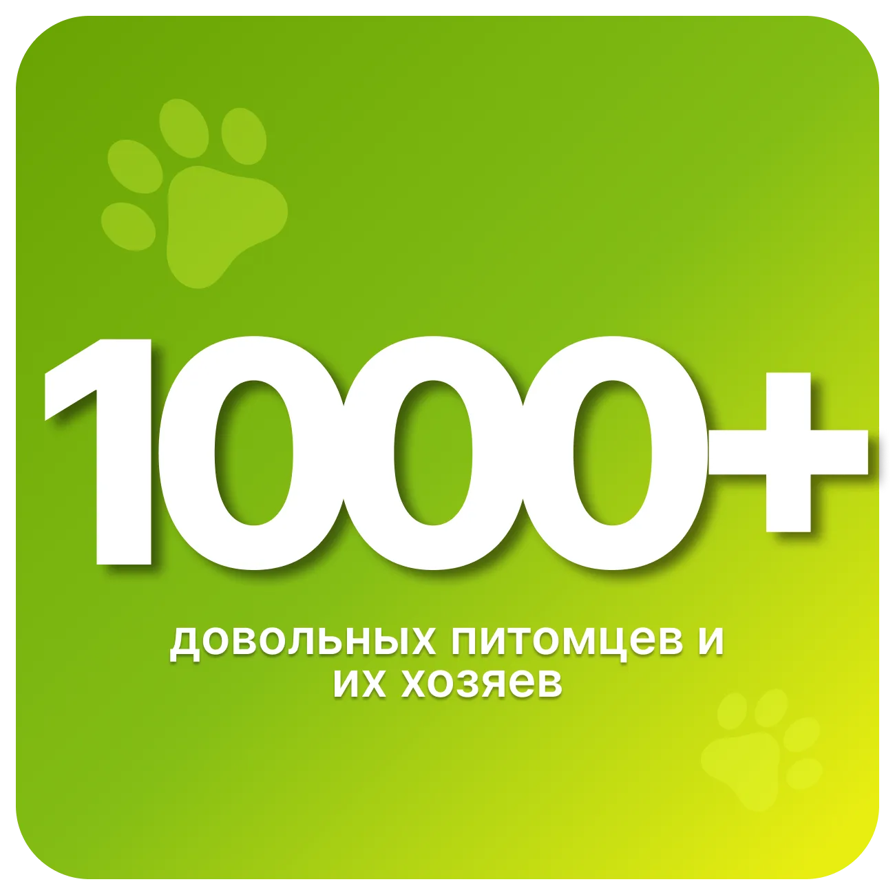 1000+ довольных питомцев и&nbsp;их&nbsp;хозяев